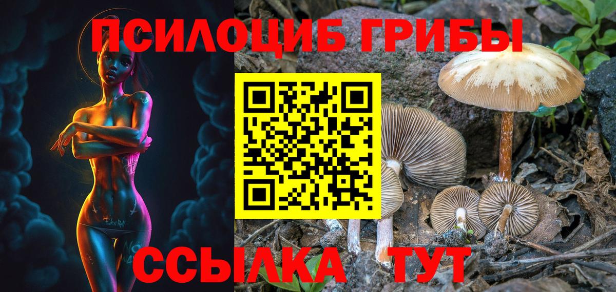 Псилоцибиновые грибы мицелий  Вход с VPN  Гай 