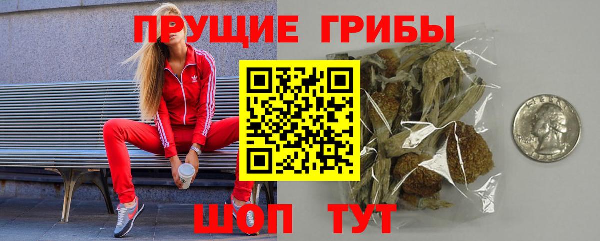 Галлюциногенные грибы Magic Shrooms Гай